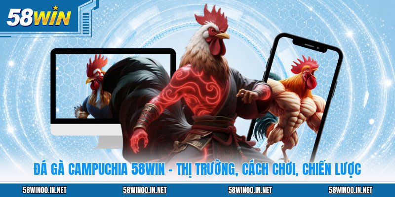 Đá Gà 58WIN: Sảnh Chơi Đẳng Cấp Cho Mọi Kê Thủ 2026 - uvano.org