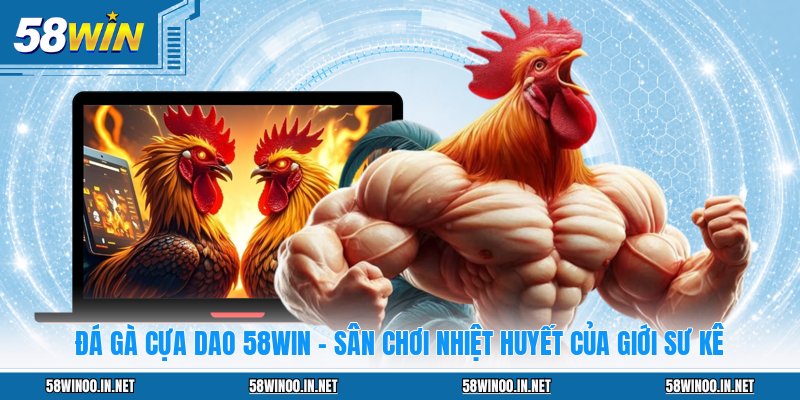 Đá Gà 58WIN: Sảnh Chơi Đẳng Cấp Cho Mọi Kê Thủ 2026 - uvano.org