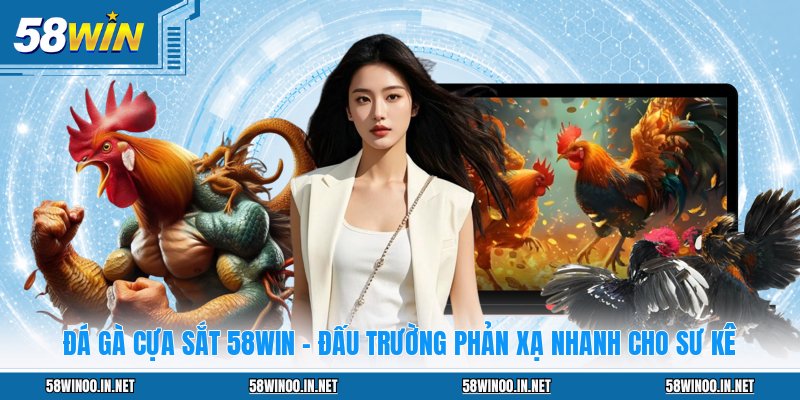 Đá Gà 58WIN: Sảnh Chơi Đẳng Cấp Cho Mọi Kê Thủ 2026 - uvano.org