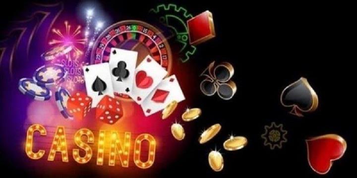 Hướng dẫn cá độ đua chó trực tuyến chi tiết từ A-Z - OK88 - uvano.org