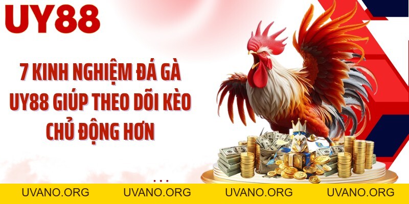 Đá Gà UY88: Theo Dõi Kê Chiến Và Chọn Cửa Sắc Hơn - uvano.org