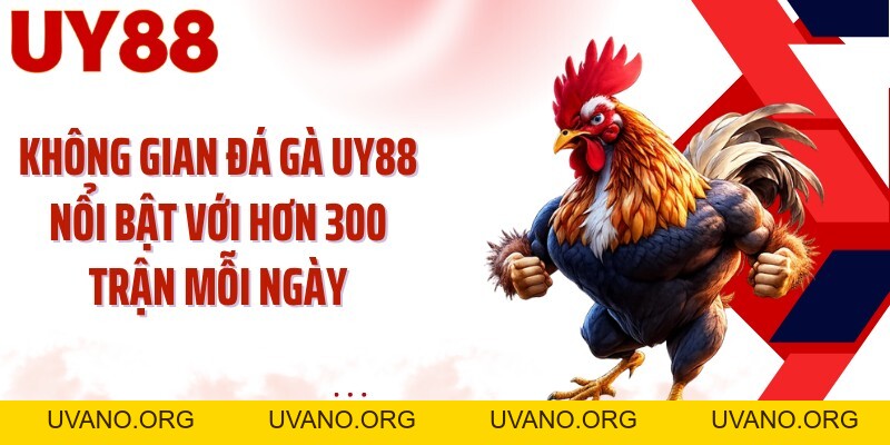 Đá Gà UY88: Theo Dõi Kê Chiến Và Chọn Cửa Sắc Hơn - uvano.org