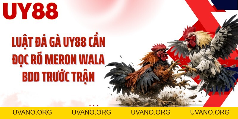 Đá Gà UY88: Theo Dõi Kê Chiến Và Chọn Cửa Sắc Hơn - uvano.org